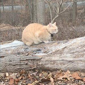 Meet your Posher, Celeste